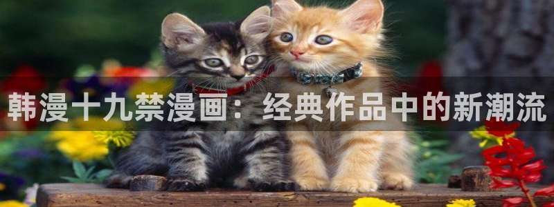 漫画岛官网免费观看下载：韩漫十九禁漫画：经典作品中的新潮流