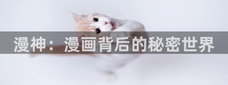 漫画岛app官方下载：漫神：漫画背后的秘密世界