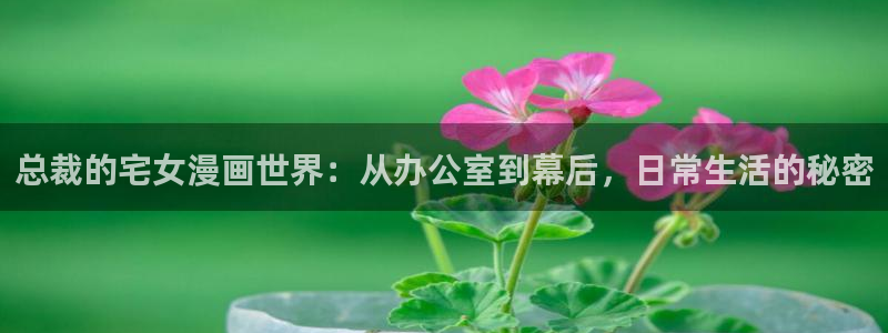 漫画岛下载官方免费：总裁的宅女漫画世界：从办公室到幕后，日常生活的秘密