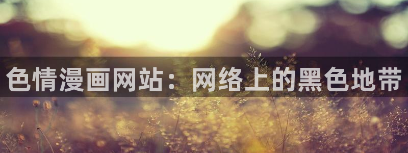 漫画岛官网app下载入口免费：色情漫画网站：网络上的黑色地带