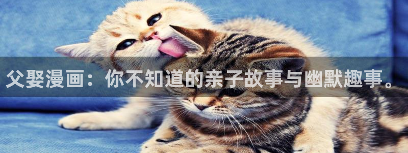 漫画岛下载免费下载：父娶漫画：你不知道的亲子故事与幽默趣事。